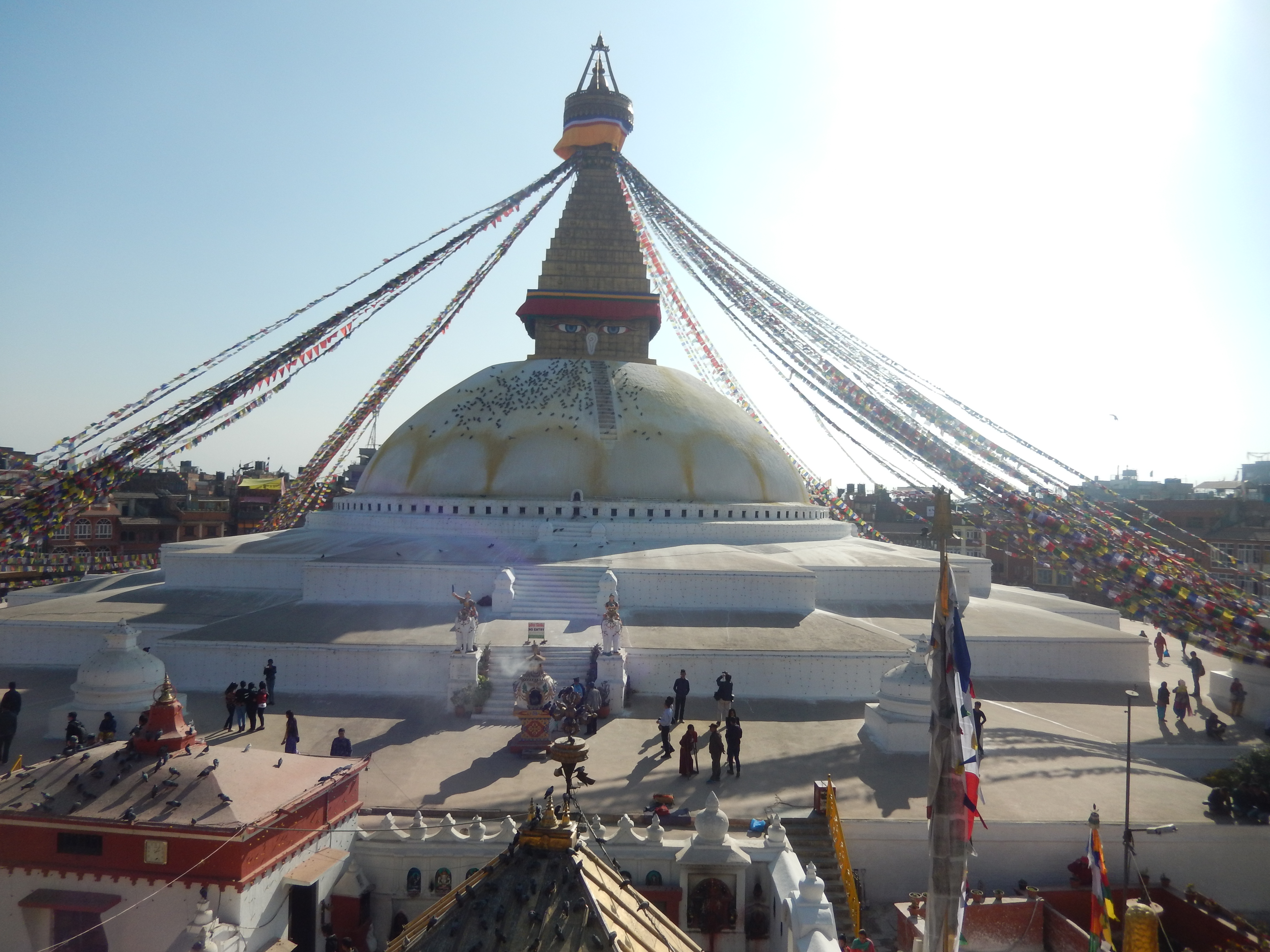 Travel and Tours