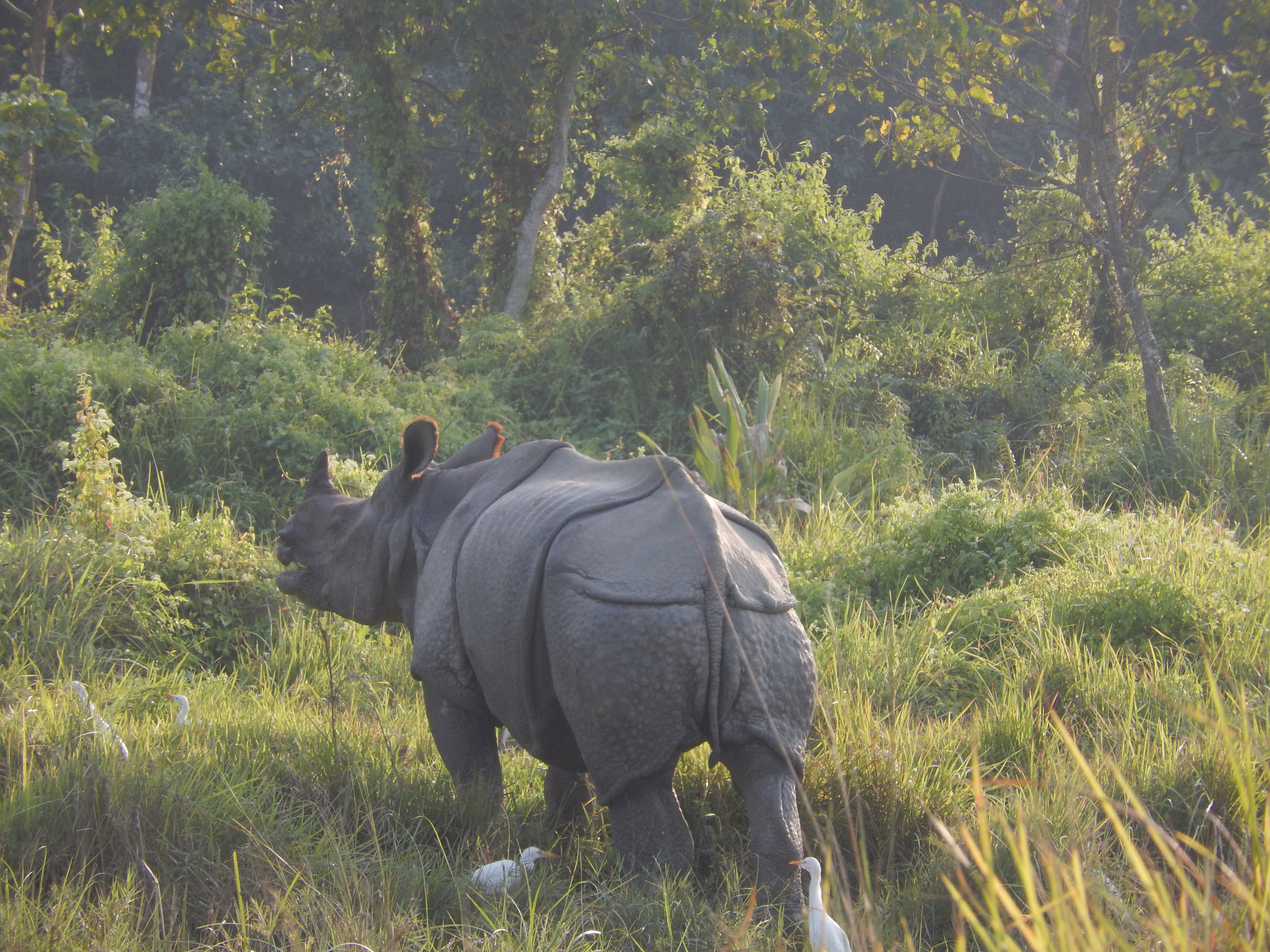  The Best Tour Of  Nepal
